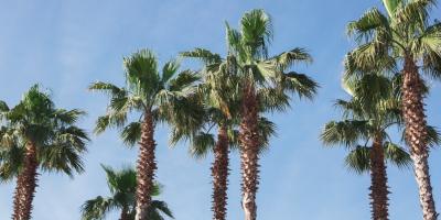 Откройте для себя красоту России: уникальные туры по самым живописным местам!