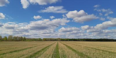 Сказочное путешествие в Карелию
