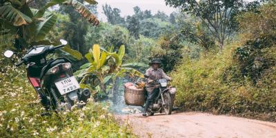 Откройте для себя Таиланд: пляжи, культура и незабываемые впечатления!